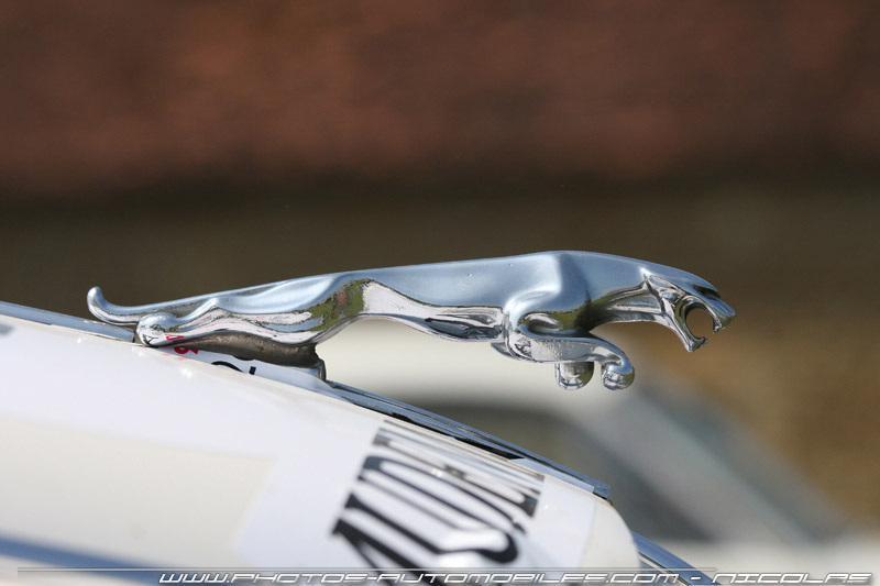 tour_auto_2009_0379
