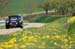 tour_auto_2009_0298