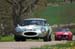 tour_auto_2009_0449